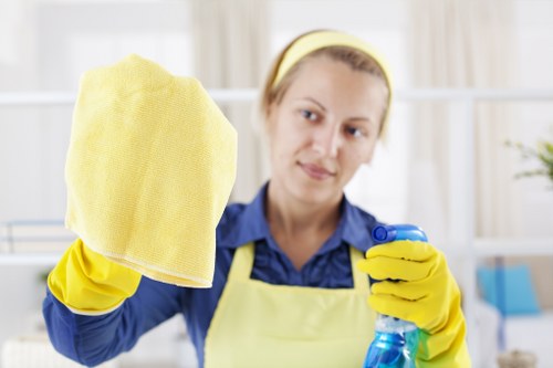 Carpet cleaning team using low-carbon van and recycling materials in Eltham