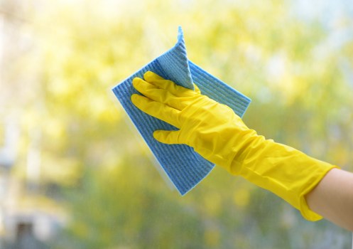 Professional carpet cleaning in Eltham for a fresh and healthy home