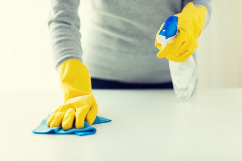Deep extraction treatment for pet stain removal in Eltham
