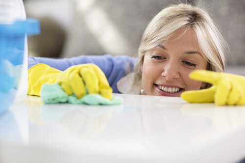 Deep cleaning and stain extraction services in Eltham