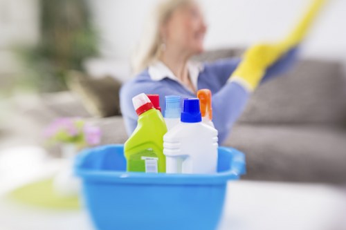 Steam cleaning equipment used for mattress cleaning in Eltham