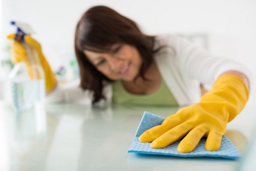 Common household stains in Eltham homes