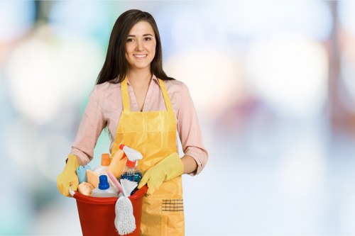 Deep carpet cleaning process removing dirt and allergens in Eltham