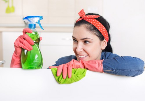 Professional carpet cleaning process in progress
