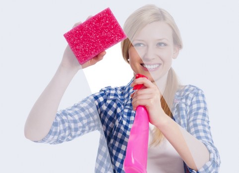 Home cleaning process for stubborn pet odours in Eltham